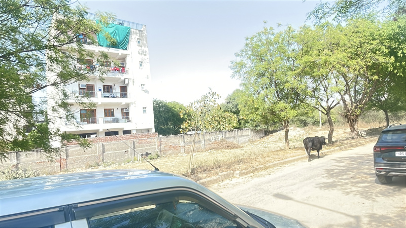  Commercial Land 1000 Sq.ft. for Sale in Saket, Delhi