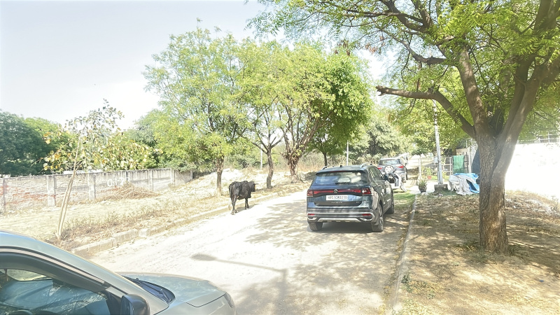  Commercial Land 1000 Sq.ft. for Sale in Saket, Delhi
