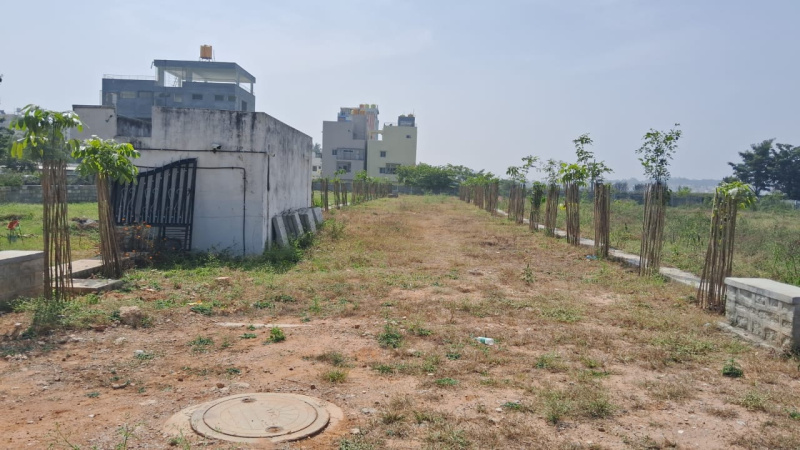  Residential Plot 1500 Sq.ft. for Sale in Yelahanka, Bangalore