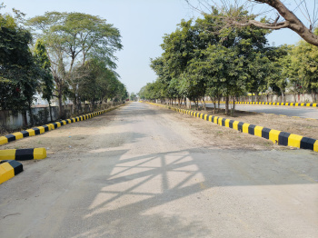  Residential Plot for Sale in Gunti, Behror, 