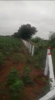  Agricultural Land for Sale in Chotuppal, Hyderabad