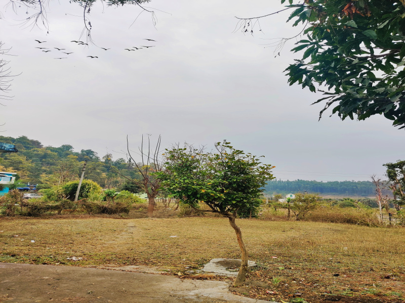  Residential Plot 966 Sq. Yards for Sale in Thano, Dehradun