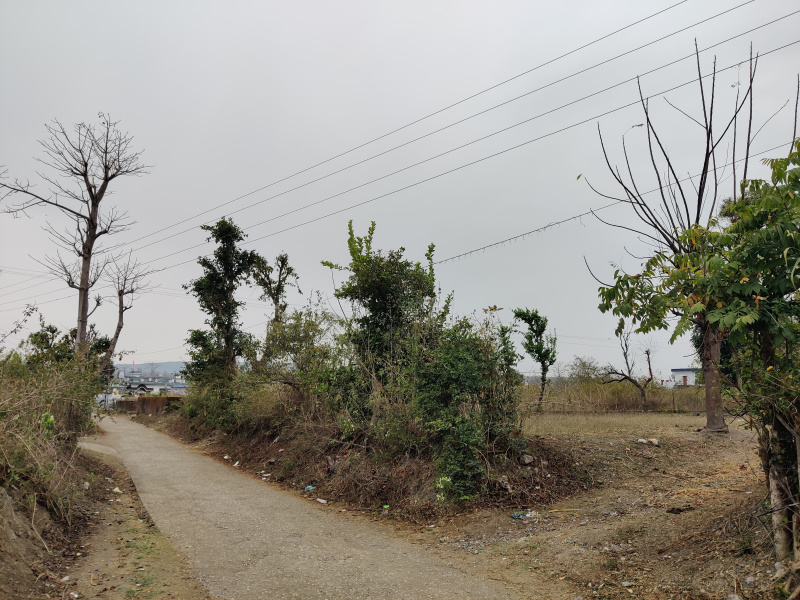  Residential Plot 966 Sq. Yards for Sale in Thano, Dehradun