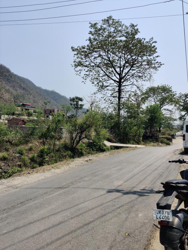  Residential Plot 571 Sq. Yards for Sale in Raipur, Dehradun