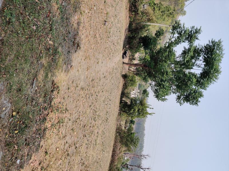  Residential Plot 916 Sq. Yards for Sale in Thano, Dehradun