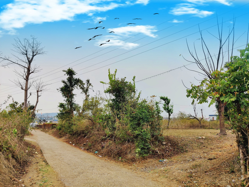  Residential Plot 916 Sq. Yards for Sale in Thano, Dehradun