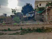  Residential Plot for Sale in Aamwala, Dehradun