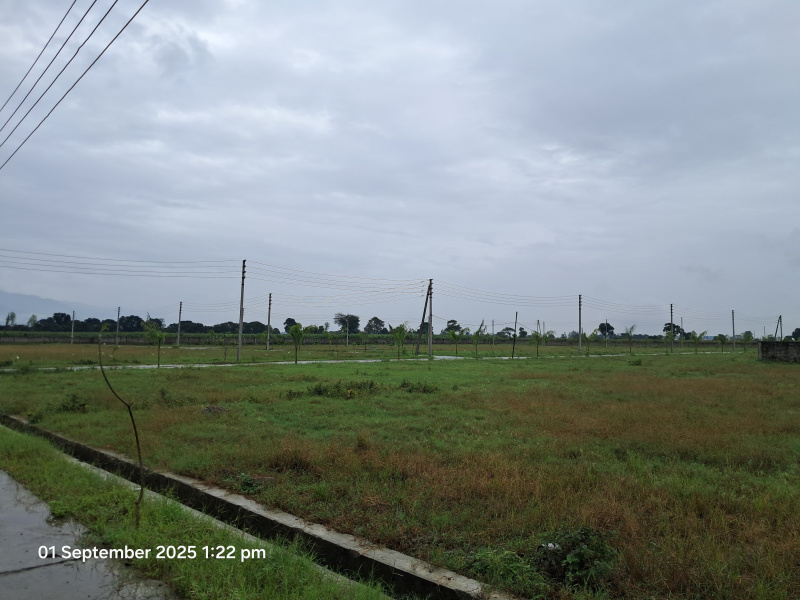  300 Sq. Yards Residential Plot for Sale in Selaqui, Dehradun
