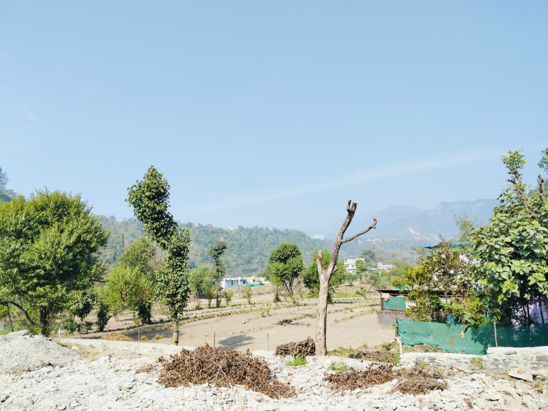  118 Sq. Yards Residential Plot for Sale in Panditwari, Dehradun