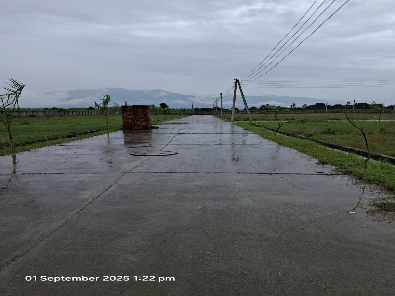  250 Sq. Yards Residential Plot for Sale in Selakui, Dehradun