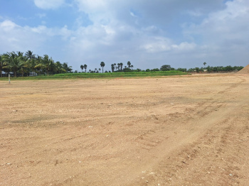  Residential Plot for Sale in A R Lay Out, Coimbatore