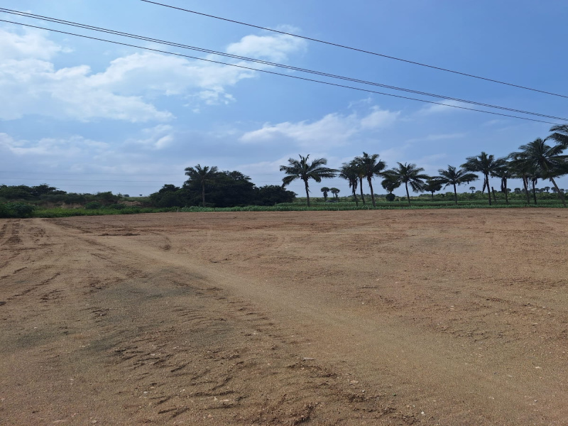  Residential Plot 9590 Sq.ft. for Sale in A R Lay Out, Coimbatore