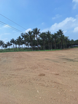  Residential Plot for Sale in Chettipalayam, Coimbatore