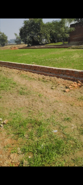  Commercial Land 5 Biswa for Sale in BACHCHAON, Varanasi