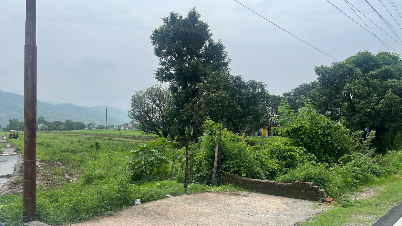  Commercial Land 6808 Sq.ft. for Sale in Kathgodam, Haldwani