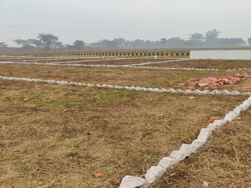  Residential Plot 1000 Sq.ft. for Sale in Turki, Muzaffarpur