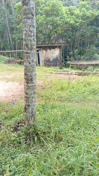  Residential Plot 10 Cent for Sale in Pappinisseri, Kannur