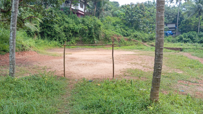  Residential Plot 10 Cent for Sale in Pappinisseri, Kannur