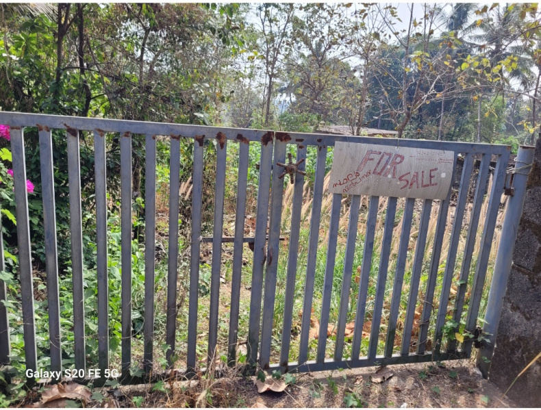  Residential Plot 15 Cent for Sale in Pattambi, Palakkad