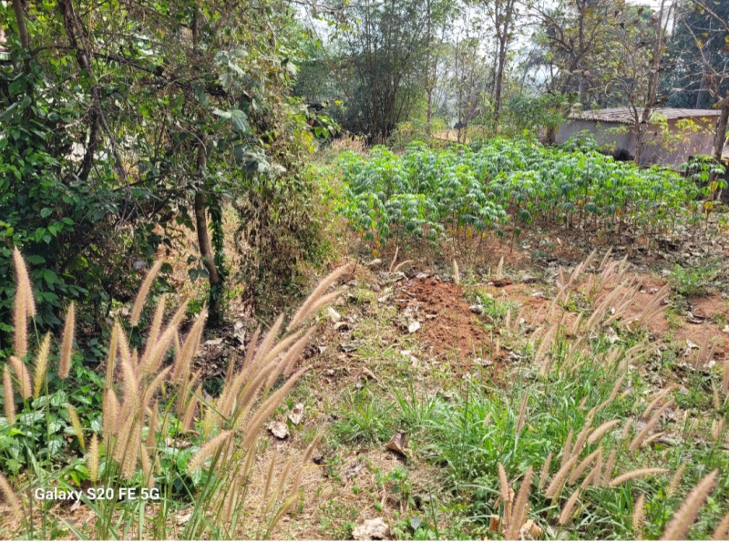  Residential Plot 15 Cent for Sale in Pattambi, Palakkad