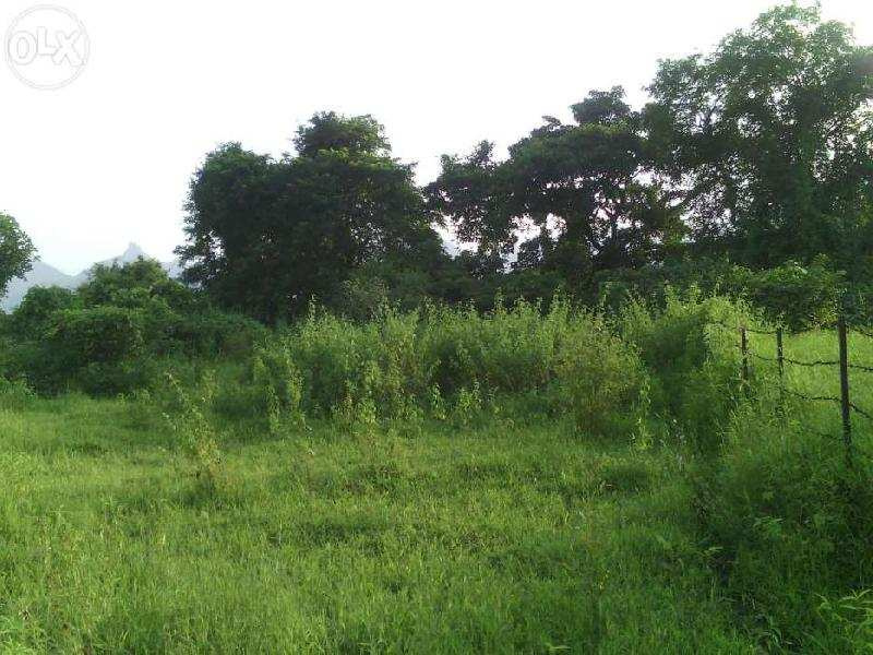  Residential Plot 10 Katha for Sale in Kalyani, Nadia