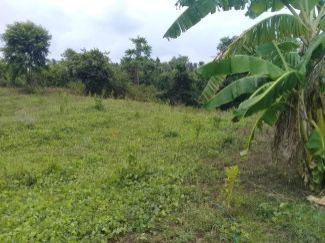  Residential Plot 10 Katha for Sale in Kalyani, Nadia