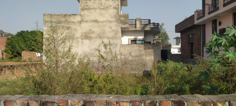  Residential Plot 2258 Sq.ft. for Sale in Dhariwal, Gurdaspur