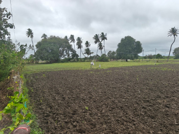  Residential Plot for Sale in Selai, Thiruvallur