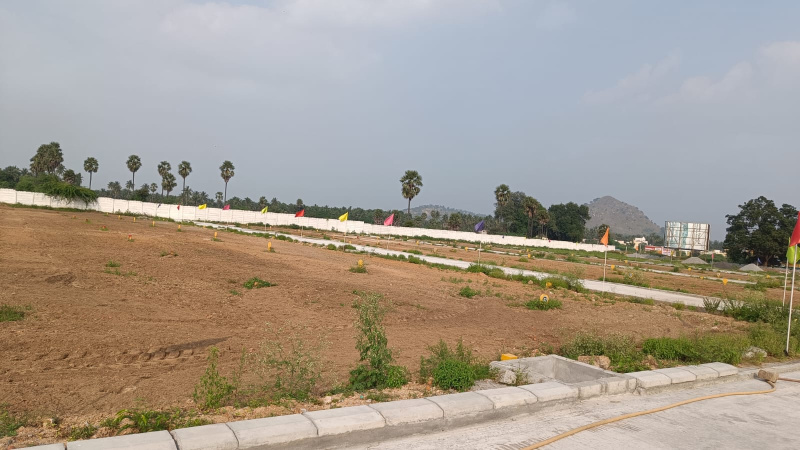  Residential Plot 1200 Sq.ft. for Sale in Gudiyatham, Vellore