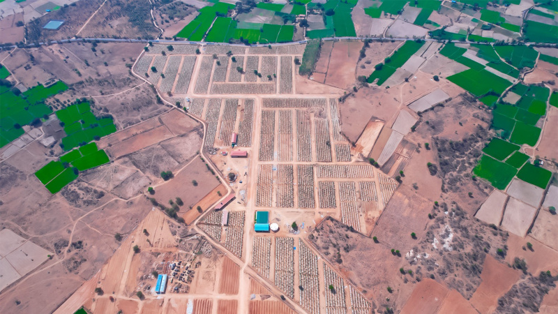  Residential Plot 150 Sq. Yards for Sale in Narayankhed, Sangareddy