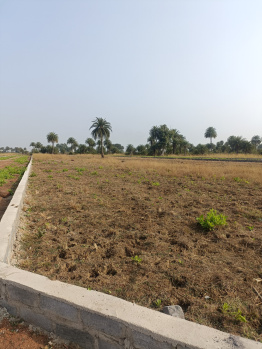  Residential Plot for Sale in Naya Raipur, Raipur