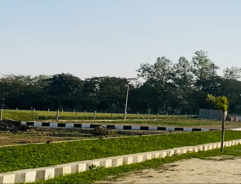  Residential Plot 1000 Sq.ft. for Sale in Faizabad Road, Lucknow