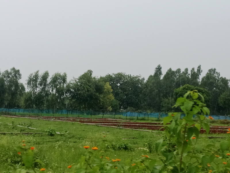  Residential Plot 1000 Sq.ft. for Sale in Kisan Path, Lucknow