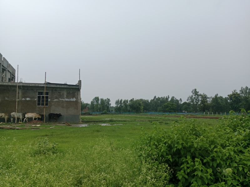  Residential Plot 1000 Sq.ft. for Sale in Kisan Path, Lucknow