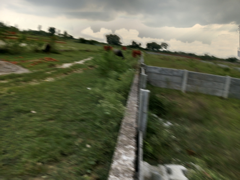 1000 Sq.ft. Residential Plot for Sale in New Jail Road, Lucknow