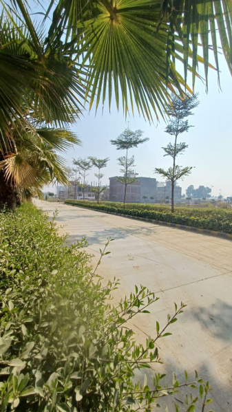  Residential Plot 1500 Sq.ft. for Sale in Sultanpur Road, Lucknow