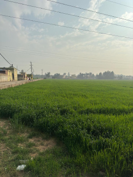  Agricultural Land for Sale in Shahzadpur, Ambala