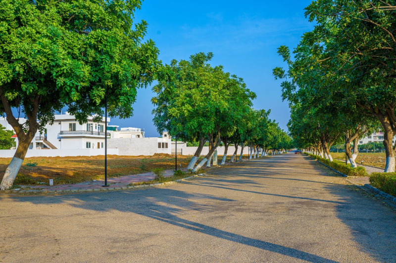  Residential Plot 128 Sq. Yards for Sale in Ajmer Road, Jaipur