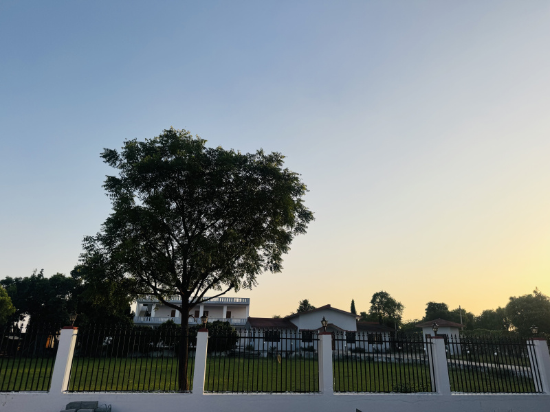  1156 Sq. Yards Residential Plot for Sale in Mozamabad, Jaipur