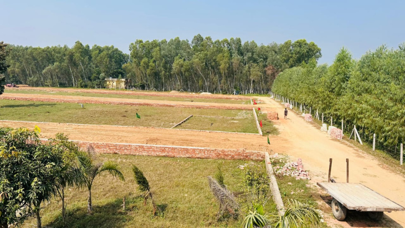  Residential Plot 150 Sq. Yards for Sale in Biharigarh, Saharanpur