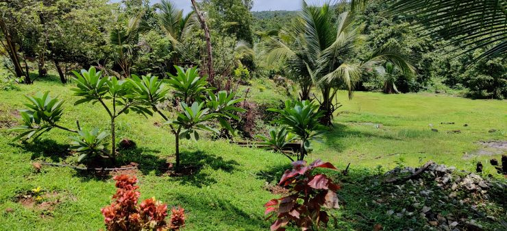  Residential Plot 3 Acre for Sale in Karwar, Uttara Kannada