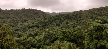  Residential Plot for Sale in Karwar, Uttara Kannada