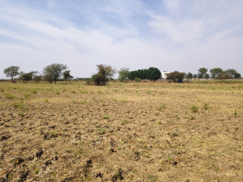  Agricultural Land for Sale in Halol, Vadodara