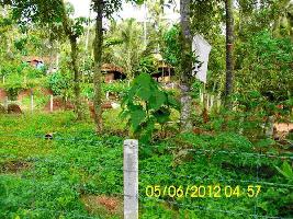  Residential Plot for Sale in Kallur, Thrissur