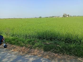 1 BHK Farm House for Sale in Hastinapur, Meerut