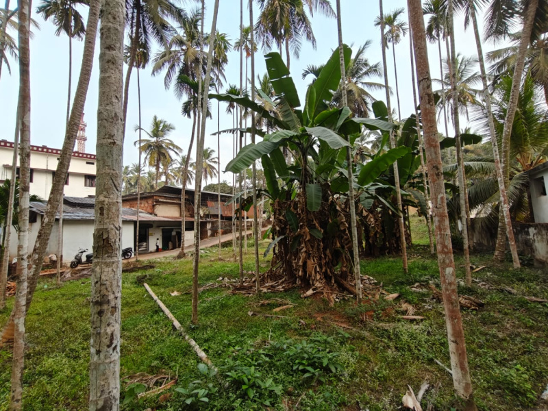  Residential Plot 20 Cent for Sale in Areekode, Malappuram