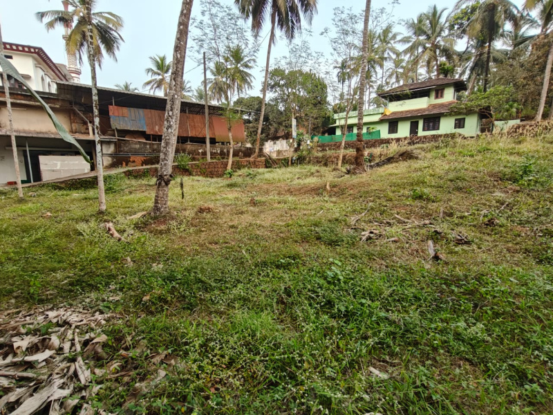  Residential Plot 20 Cent for Sale in Areekode, Malappuram