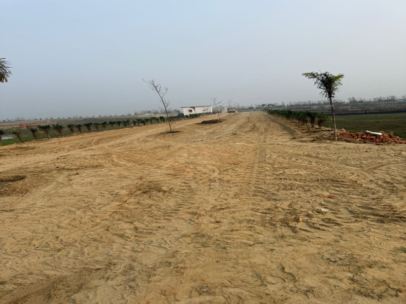  Residential Plot 1000 Sq.ft. for Sale in Maniram, Gorakhpur