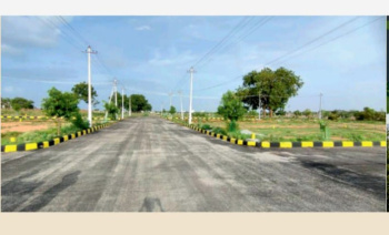  Residential Plot for Sale in Shamshabad, Hyderabad