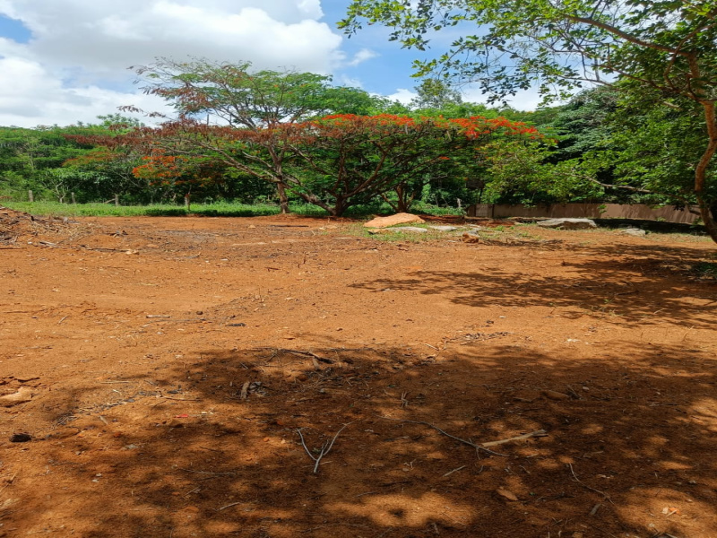  Residential Plot 12500 Sq.ft. for Sale in Sarjapur, Bangalore